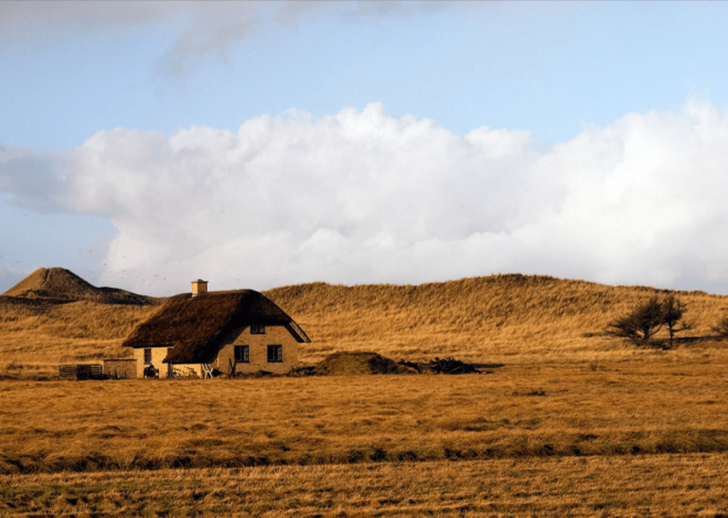 A Week in Jutland: Hidden Beaches and Coastal Villages